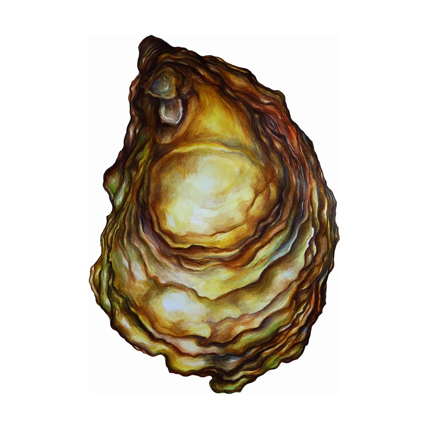 SARAH NELSON FINE ART OYSTER PRINT